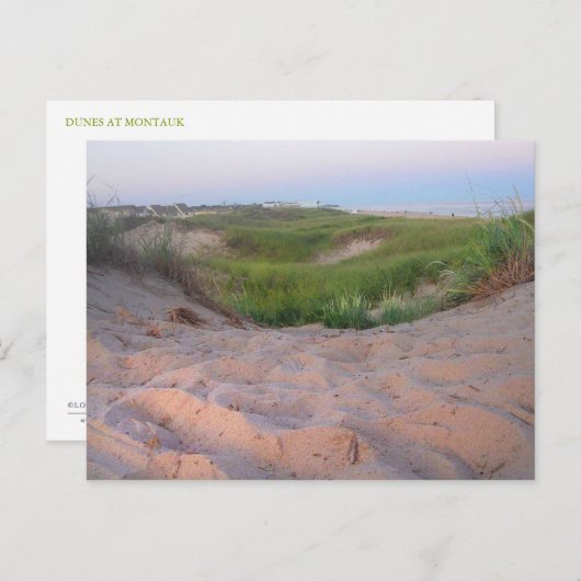 Dünen in Montauk Postkarte (Vorne/Hinten)