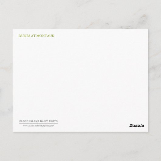 Dünen in Montauk Postkarte (Rückseite)