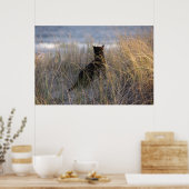 Dünen Kitty Poster (Küche)