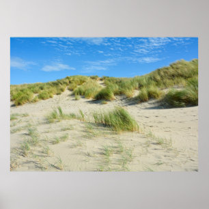 Dünen Magie - - Acryldruck Poster