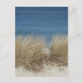 Dünen Postkarte