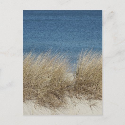 Dünen Postkarte (Vorderseite)