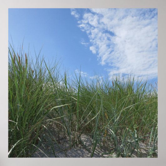 Dünen, Sandposter Poster (Vorne)