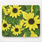 Dünen-Sonnenblume-Mausunterlage Mousepad (Vorne)