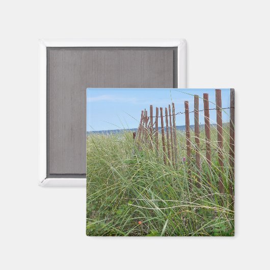 Dünen von Cape Cod Magnet (Vorderseite/Rückseite)