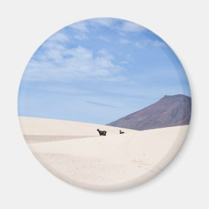 Dünen von Corralejo, Fürteventura, Kanarische Inse Magnet