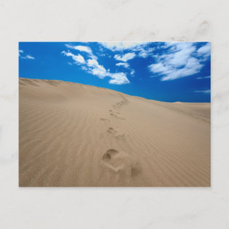 Dünen von Gran Canaria Postkarte