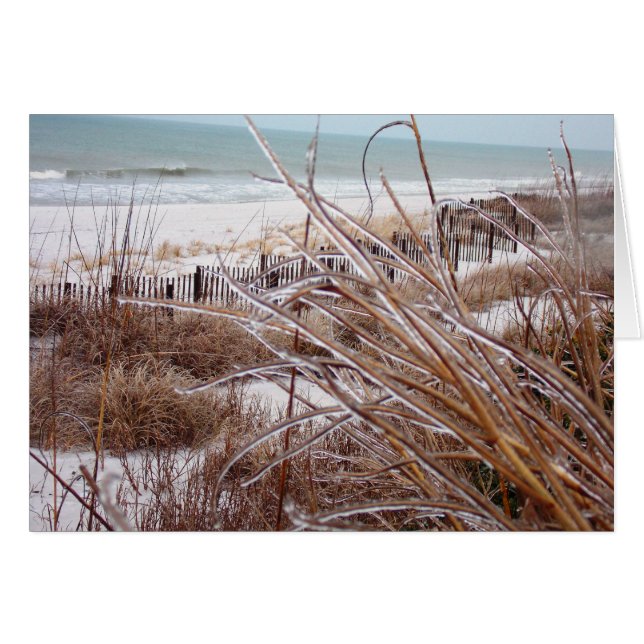 Dünenkreis (Vorderseite (Horizontal))