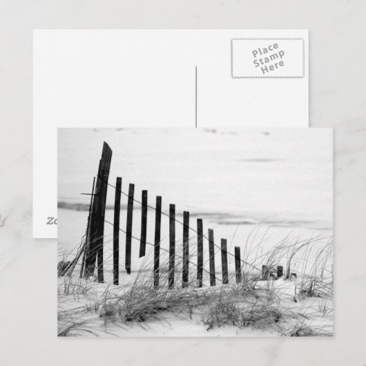 Dünenzaun im Schnee Postkarte (Vorne/Hinten)