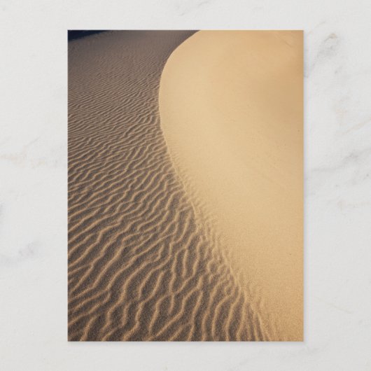 Dunes im California Valley Postkarte (Vorderseite)