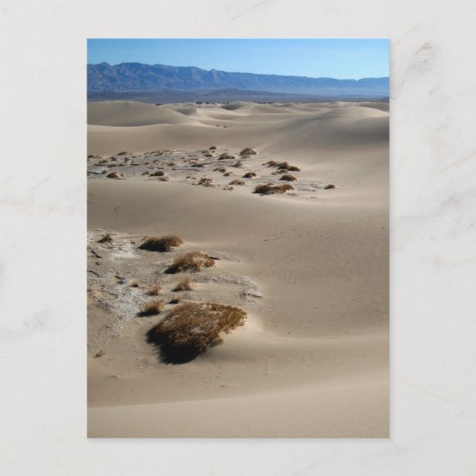 Dunes im Todetal 3 Postkarte (Vorderseite)