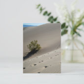 Dunes im Todetal 4 Postkarte (Stehend Vorderseite)