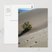 Dunes im Todetal 4 Postkarte (Vorne/Hinten)