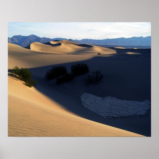 Dunes im Todetal am Morgen Poster (Vorne)