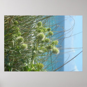 Dunes-Karden Poster