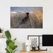 Dunes Kitty Poster (Heimbüro)