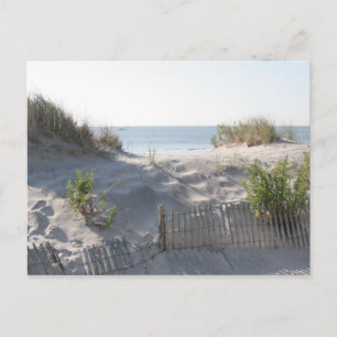 Dunes Postcard Postkarte
