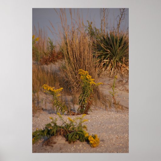 Dunes Poster (Vorne)