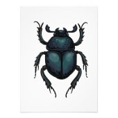 Dung beetle fotodruck (Vorne)
