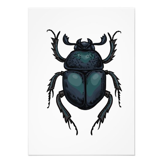 Dung beetle fotodruck (Vorne)