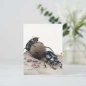 Dung Bettle Postkarte (Stehend Vorderseite)