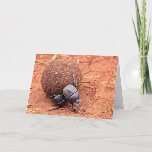 Dung geschieht feiertagskarte (Vorderseite)