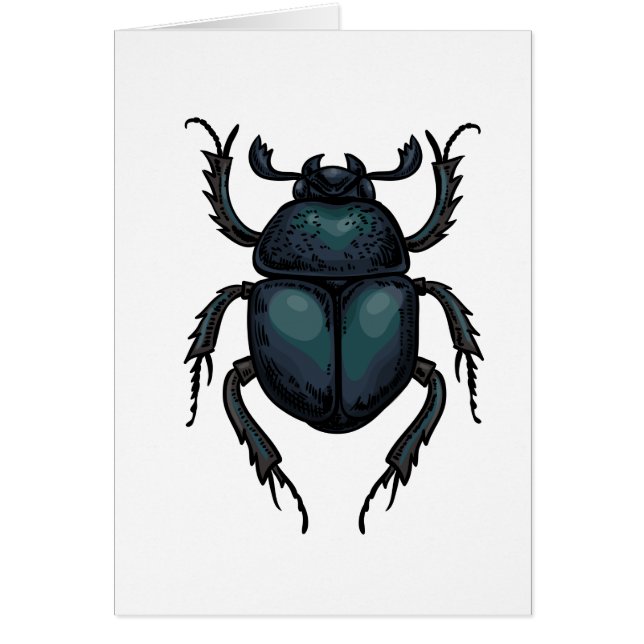 Dung Käfer (Vorne)