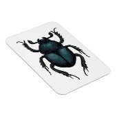 Dung Käfer Magnet (Rechte Seite)