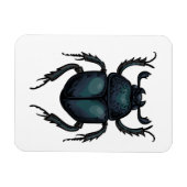 Dung Käfer Magnet (Horizontal)