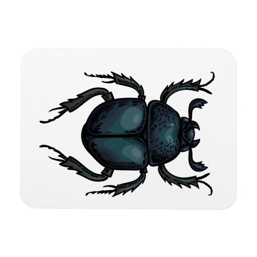Dung Käfer Magnet (Horizontal)