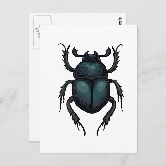Dung Käfer Postkarte (Vorne/Hinten)