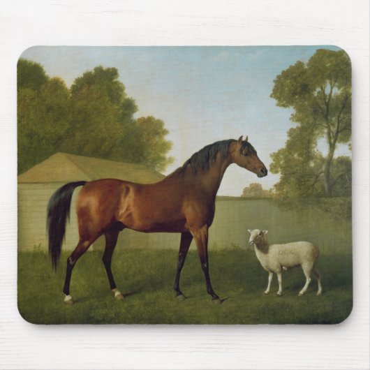 Dungannon, das Eigentum von Oberst O'Kelly Mousepad (Vorne)