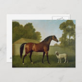 Dungannon, das Eigentum von Oberst O'Kelly Postkarte (Vorne/Hinten)