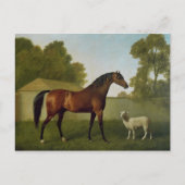 Dungannon, das Eigentum von Oberst O'Kelly Postkarte (Vorderseite)