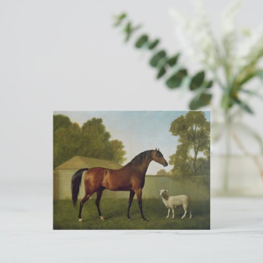 Dungannon, das Eigentum von Oberst O'Kelly Postkarte (Stehend Vorderseite)