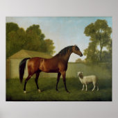 Dungannon, Eigentum von Oberst O'Kelly Poster (Vorne)