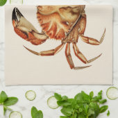 Dungeness Crab - Cancer Bellianis Geschirrtuch (Gefaltet)