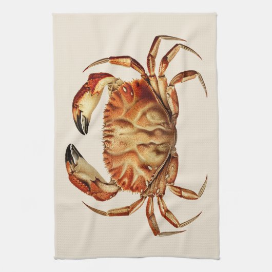 Dungeness Crab - Cancer Bellianis Geschirrtuch (Vertikal)