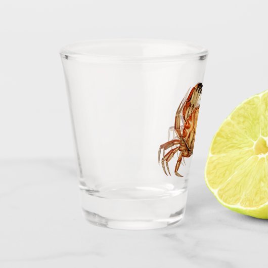 Dungeness Crab - Cancer Bellianis Schnapsglas (Links)