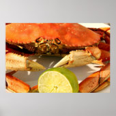 Dungeness Crab Poster (Vorne)