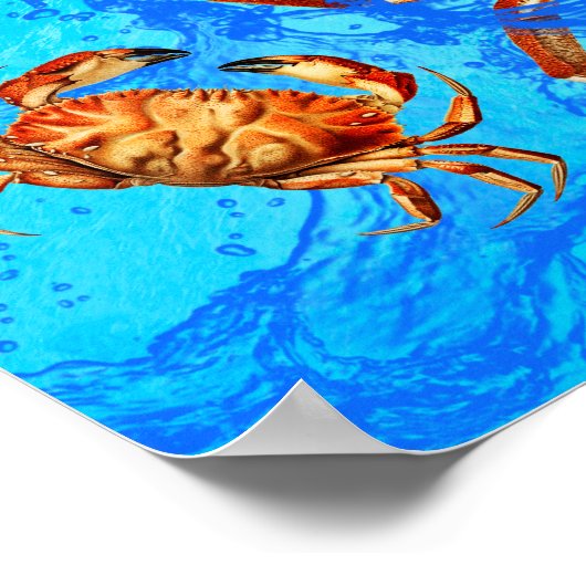 Dungeness Crabs Poster (Ecke)