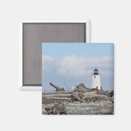 Dungeness Spit Lighthouse Magnet (Vorderseite/Rückseite)