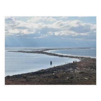 Dungeness Spit vom Leuchtturm Poster