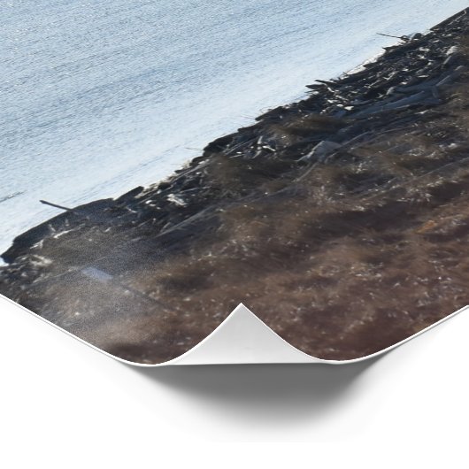 Dungeness Spit vom Leuchtturm Poster (Ecke)