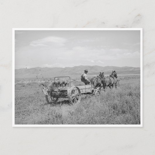 Düngerspreader Postkarte (Vorderseite)