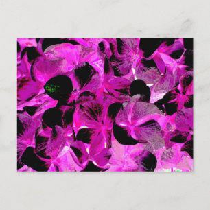 dunkel hell 2 postkarte