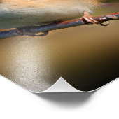 Dunkel-Mit Augen Junco an der Limbe Fotodruck (Ecke)