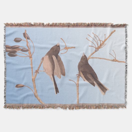 Dunkel-Mit Augen Junco Audubon-Schneebären auf der Decke (Vorderseite)