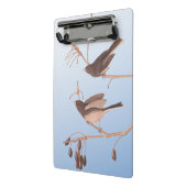 Dunkel-Mit Augen Junco Audubon-Schneebären auf der Mini Klemmbrett (Gewinkelt2)