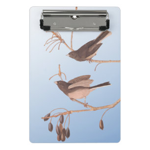 Dunkel-Mit Augen Junco Audubon-Schneebären auf der Mini Klemmbrett